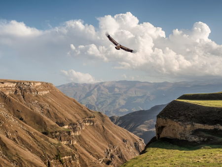 Гора Пушкин-Тау