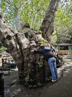 Экскурсия "Путешествие в горы: Амирсой, Чимган и Чарвак с завтраком в мини-группе" - фото отзыва 2