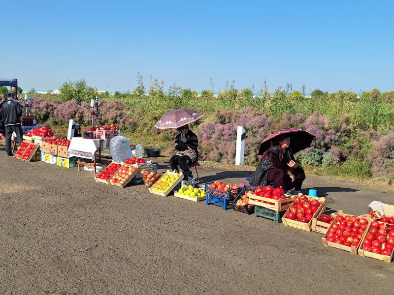 Из Ташкента в Самарканд — фото 2, Ташкент | Покатаем