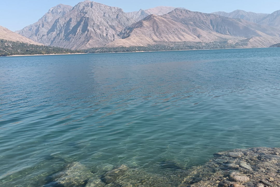 Групповая экскурсия в Чимганские горы и к водохранилищу Чарвак — фото 5
