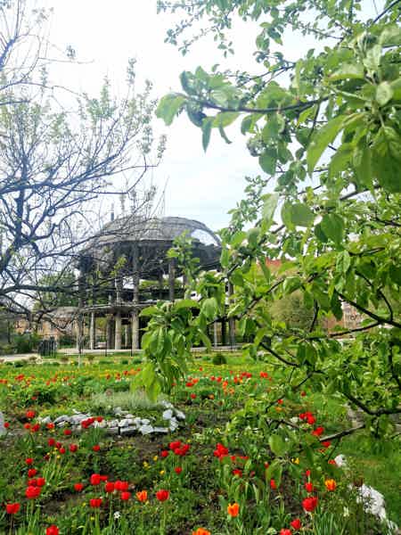 Воронеж — город воинской славы: экскурсия по памятным места - фото 5