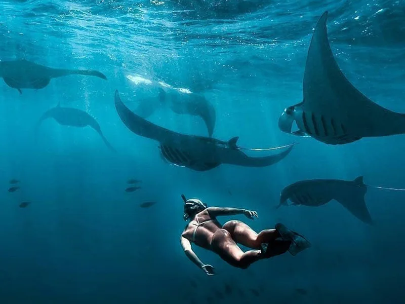 Снорклинг с Manta Ray — фото 3, Бали | Покатаем