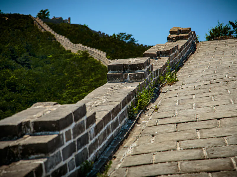 Forbidden City with Mutianyu section of The Great Wall of China — фото 5, Пекин | Покатаем