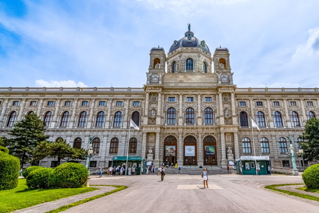 Входной билет в Венский музей истории искусств