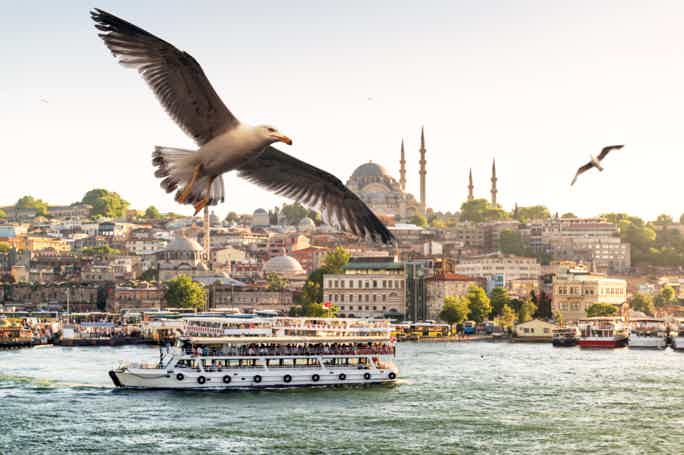 Bosphorus Evening Cruise Tour 