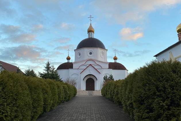 Экскурсия «Лес Генриха» – в край императорских угодий» (из Зеленоградска)