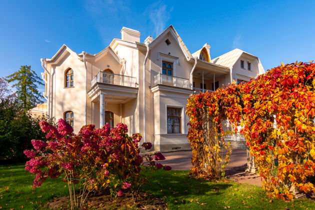 Виды В объятиях величественного Петербурга: фотопрогулка 