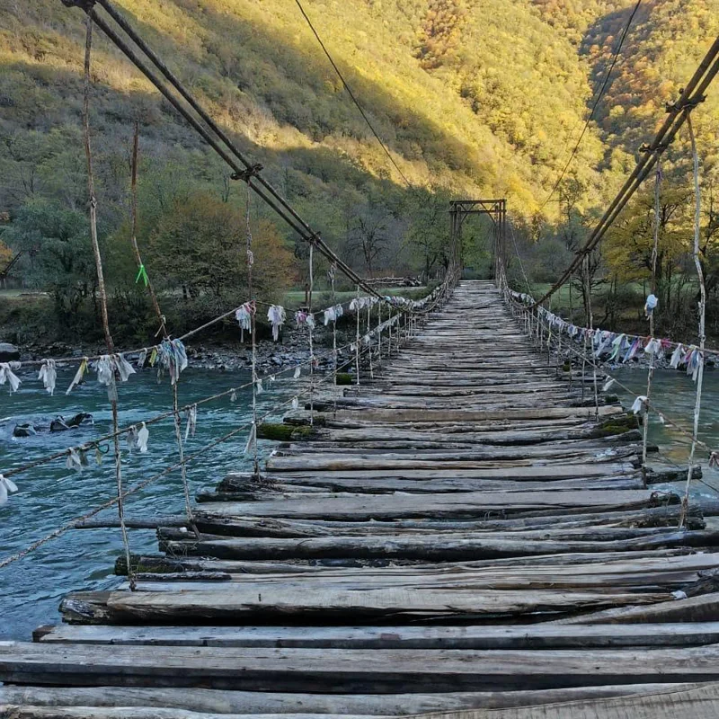 Индивидуальный джип-тур «Красавица Рица и Гегский водопад» — фото 3