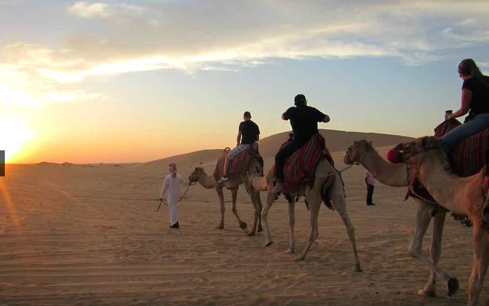 Утреннее сафари в Абу-Даби - фото 4