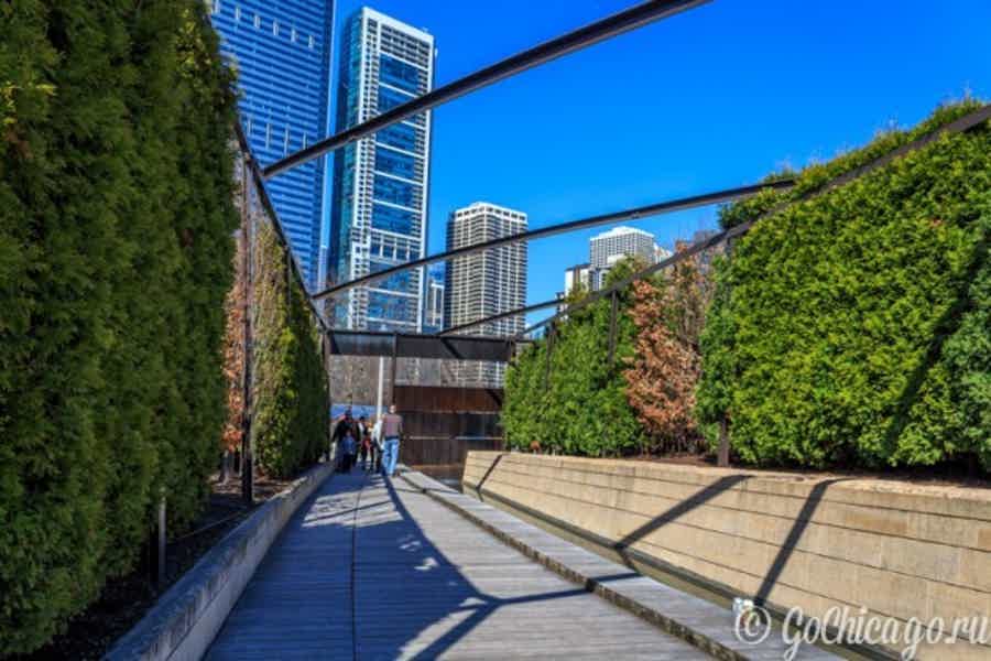 День в Чикаго: архитектура и панорама города - фото 5