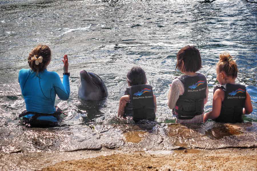 Play with Dolphins in Dubai's Atlantis Waterpark - photo 6