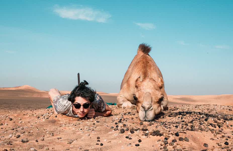 PRIVATE Desert Safari Evening with VIP BBQ-dinner, Camel Ride - photo 7