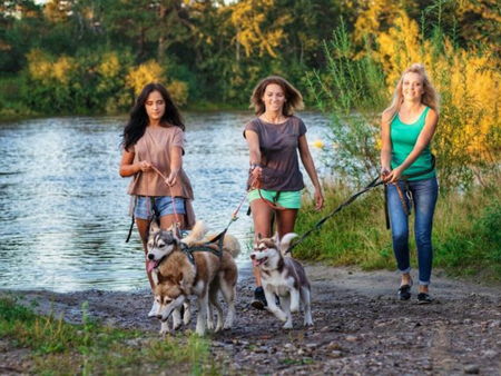 Гора Мустаг