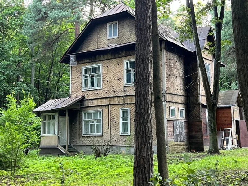 Аллея мрачных классиков: квест-экскурсия по Переделкину (без гида) — фото 2, Москва | Покатаем