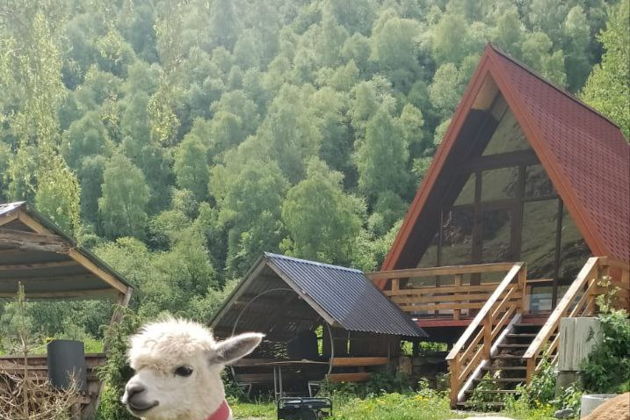 Виды Покорение гор, рассветы и закаты