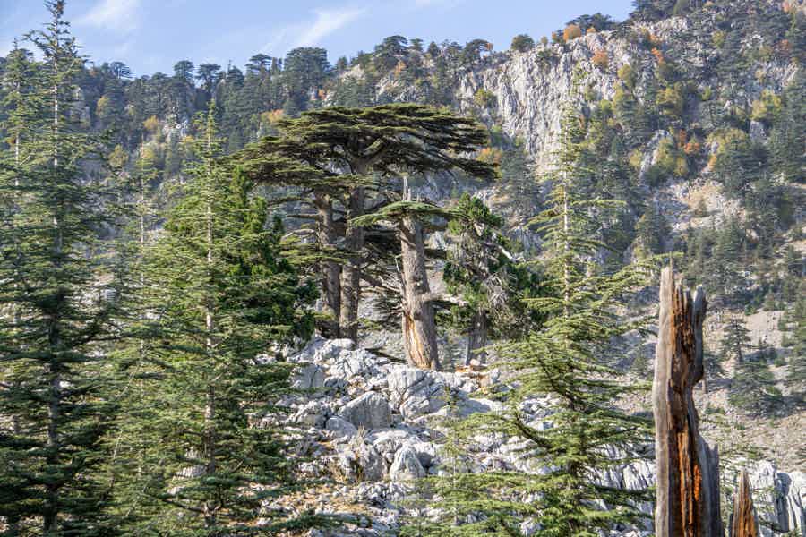 Приключение в горах Торос: джип-сафари на высоте 1800 м - фото 2