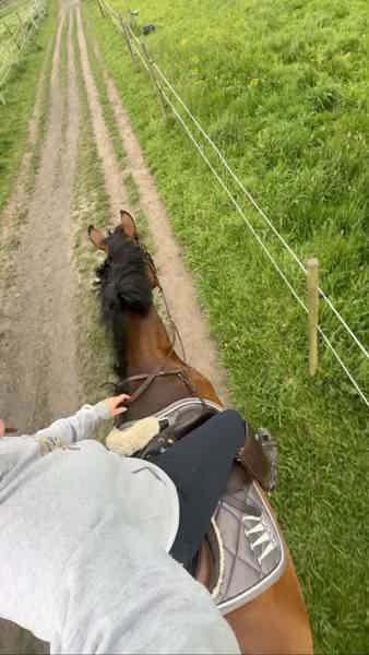 Horseback Riding on Casablanca Beach - фото 5