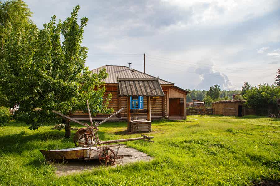 Экскурсионный день в старинное село Сростки - фото 5