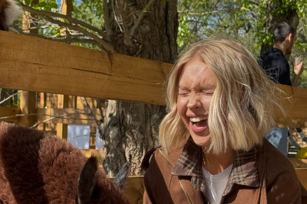 Виды Парк Альпак Симба: приходи покормить альпак на Воробьевых горах!