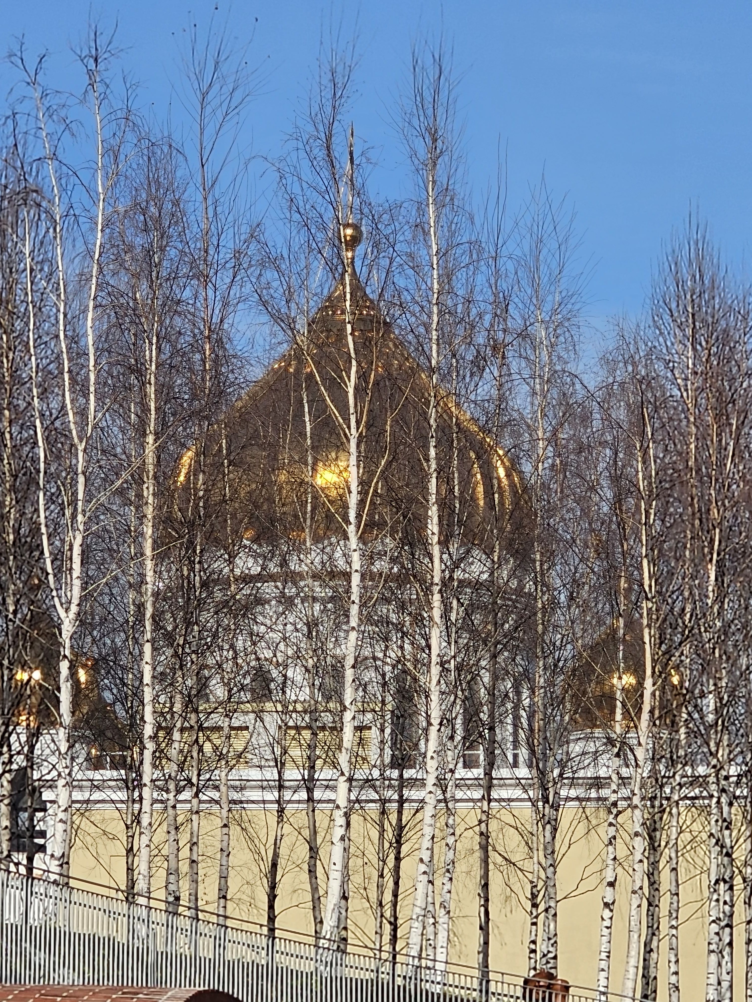 Храм Христа Спасителя с подъемом на смотровую площадку, кадр 6