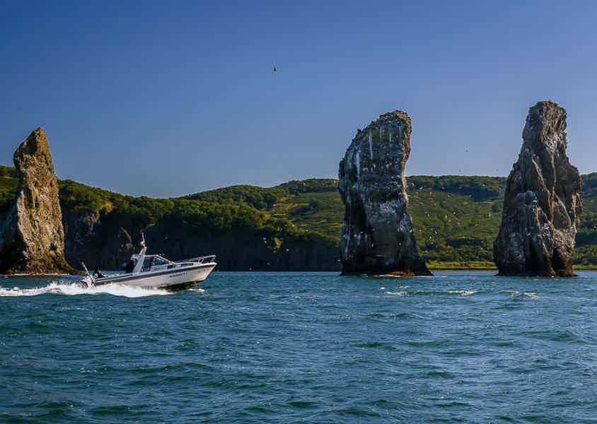 Морская прогулка в Бухту Русскую: высадка, рыбалка и крабовое сафари - фото 2