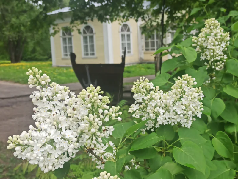 Переславль сквозь века — обзорная автоэкскурсия на вашем автомобиле — фото 4, Переславль-Залесский | Покатаем