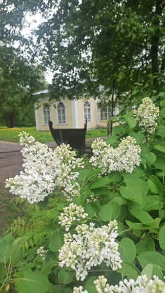 Переславль сквозь века — обзорная автоэкскурсия на вашем автомобиле - фото 3