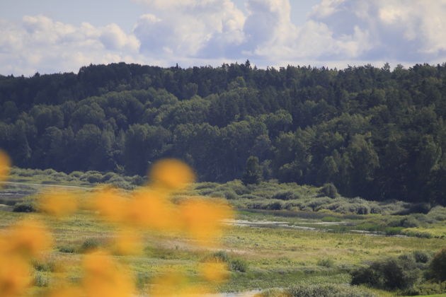 Виды «Нетипично псковские дали»: треккинг в Пушкинских Горах 