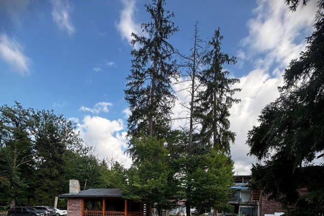 Виды Глоток прохлады: Мцхета — Зелёный лес — Боржоми