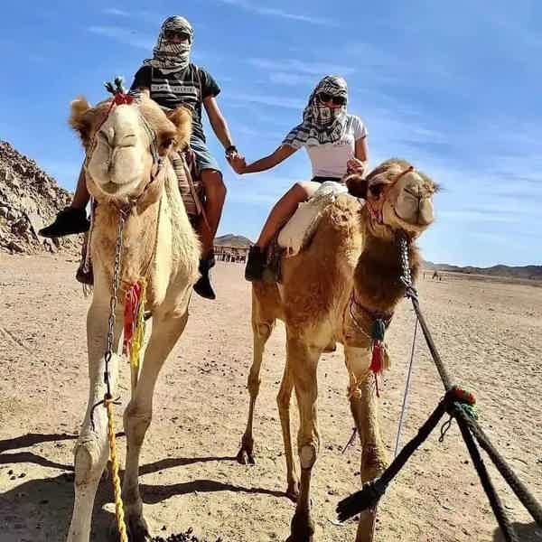 Индивидуальная поездка-сафари по пустыне на 3 часа - фото 4
