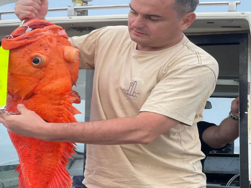 Морская и глубоководная «Трофейная» рыбалка, крабовое сафари в Тихом океане — фото 2, Петропавловск-Камчатский | Покатаем