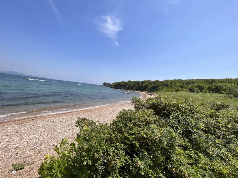 Морская экскурсия на дикие острова Приморья - 2 острова за 1 день — фото 3, Владивосток | Покатаем