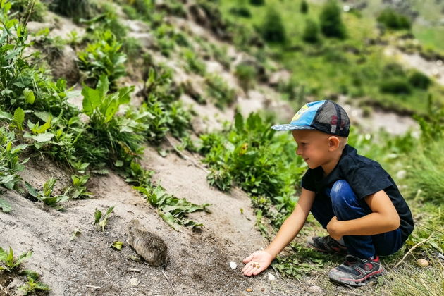 Виды Горный вояж: суслики Джилы-Су в Приэльбрусье