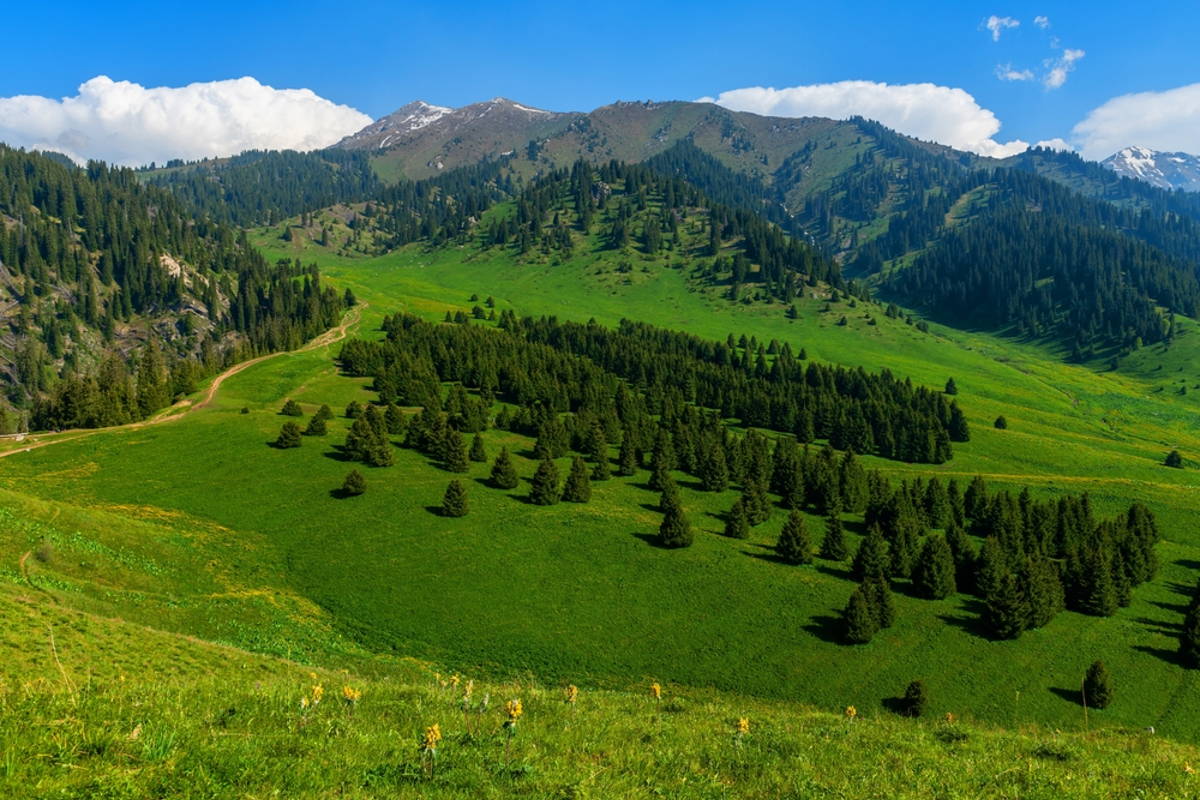 Урочище Кок-Жайляу