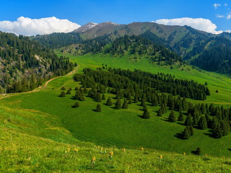 Урочище Кок-Жайляу