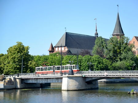 Деревянный мост