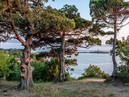 Заказник Большой Утриш