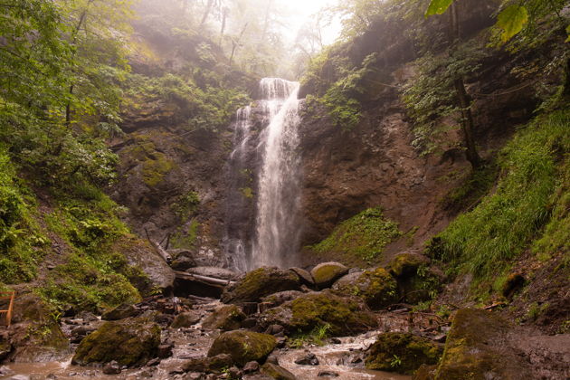 Виды Однодневный тур в Ленкорань