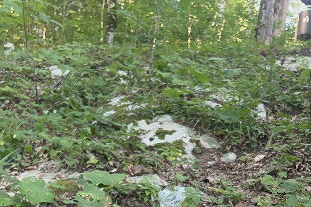 Виды Зимняя прогулка по субтропическому лесу среди водопадов. Ажек