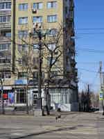 Экскурсия "Авторская пешеходная экскурсия: «Дома и судьбы главной улицы»" - фото отзыва 1