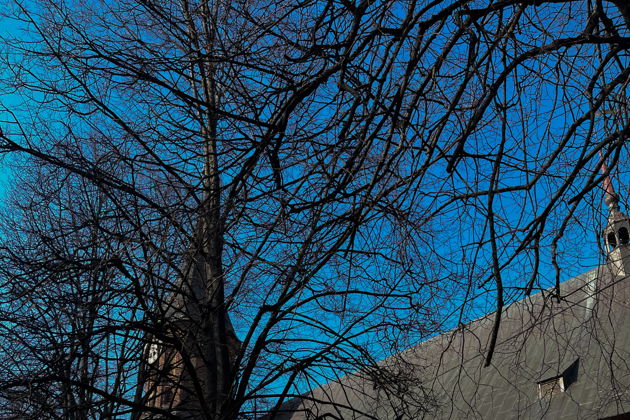 Виды Городские домовые