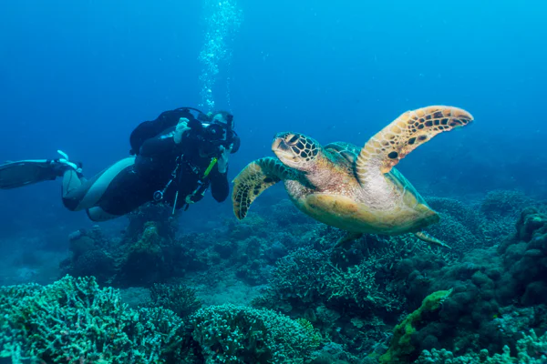 Diving in Phu Quoc: Two Dives, Lunch, and Transfer — photo 5, Phu Cuoc | Pokataem