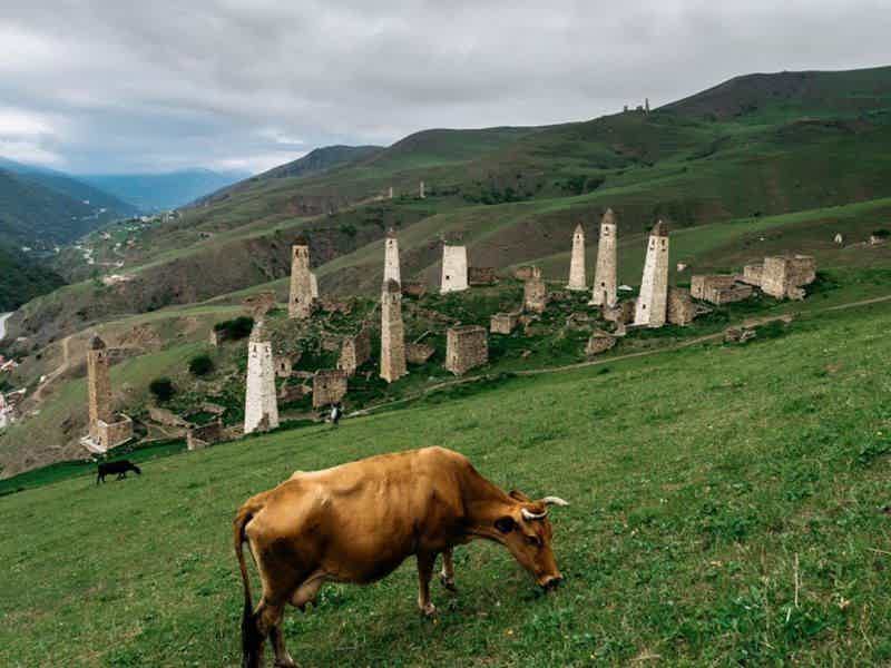 Горная Ингушетия: Цоринское ущелье - фото 3