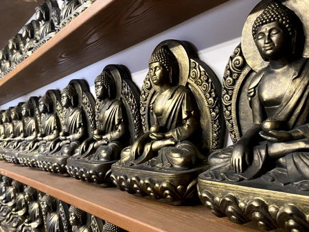 Буддистский комплекс Тубден Шедублинг