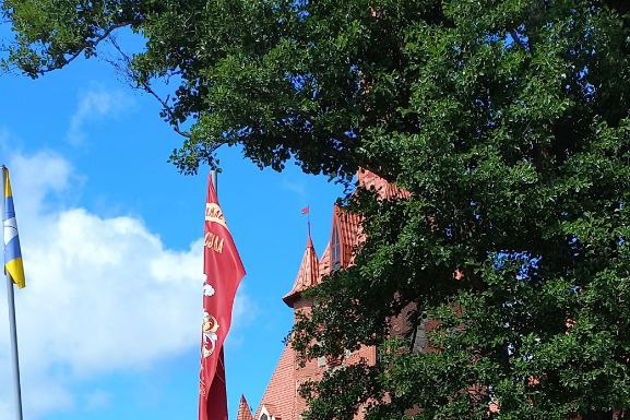 Виды Экскурсия «10 000 лет истории Беларуси: путешествие во времени в парке Сула»