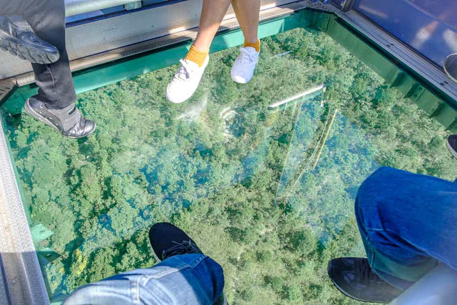 Путешествие на Лантау: Большой Будда, По Лин и деревня Тай О - фото 1