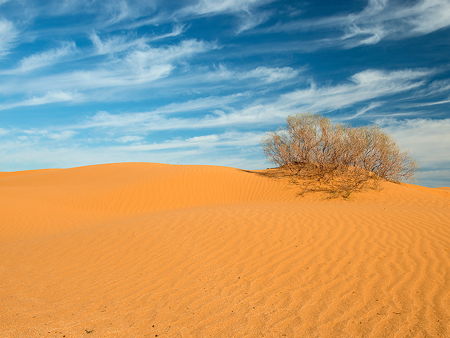 Бархан Большой Брат