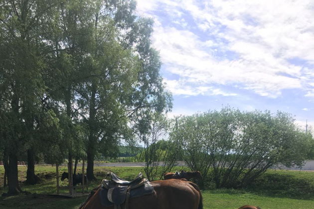 Путешествие по югу Башкирии: горы, ущелье, шиханы