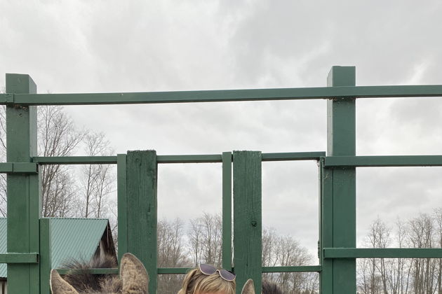 Виды Путешествие на лосеферму из Костромы на автомобиле гида