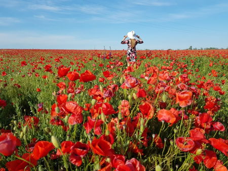 Кояшское озеро